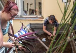 Fotogalerie Semínkový a rostlinkový swap - galerie